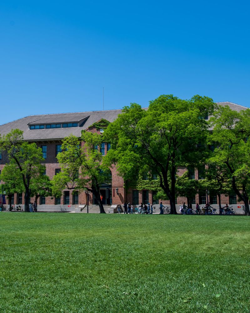 Red-brick campus building framed by trees on a sunny lawn